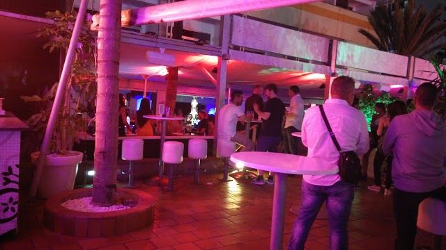 Pacha